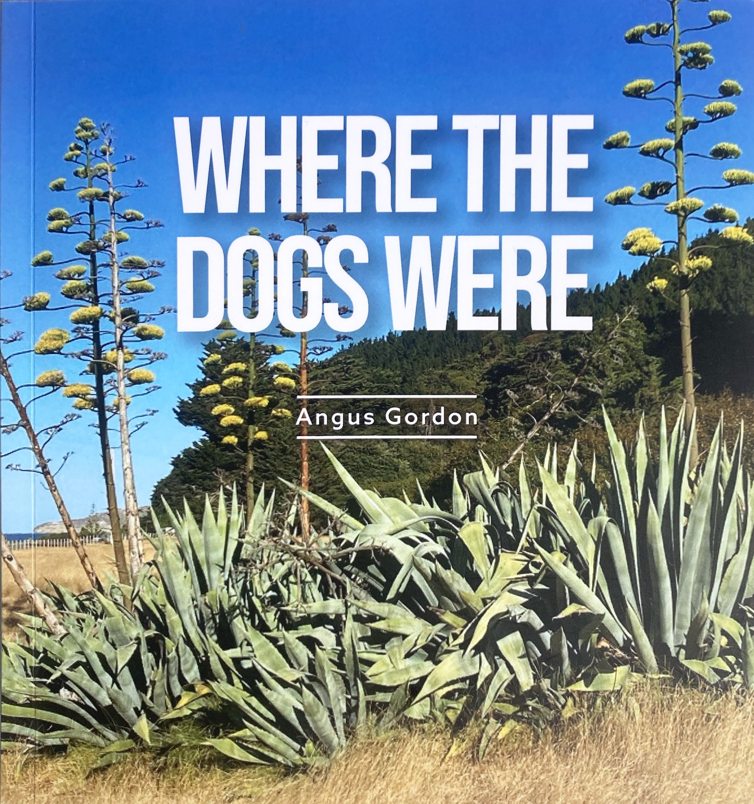 Where the dogs were.jpg